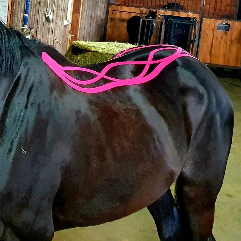 horse raceing tape